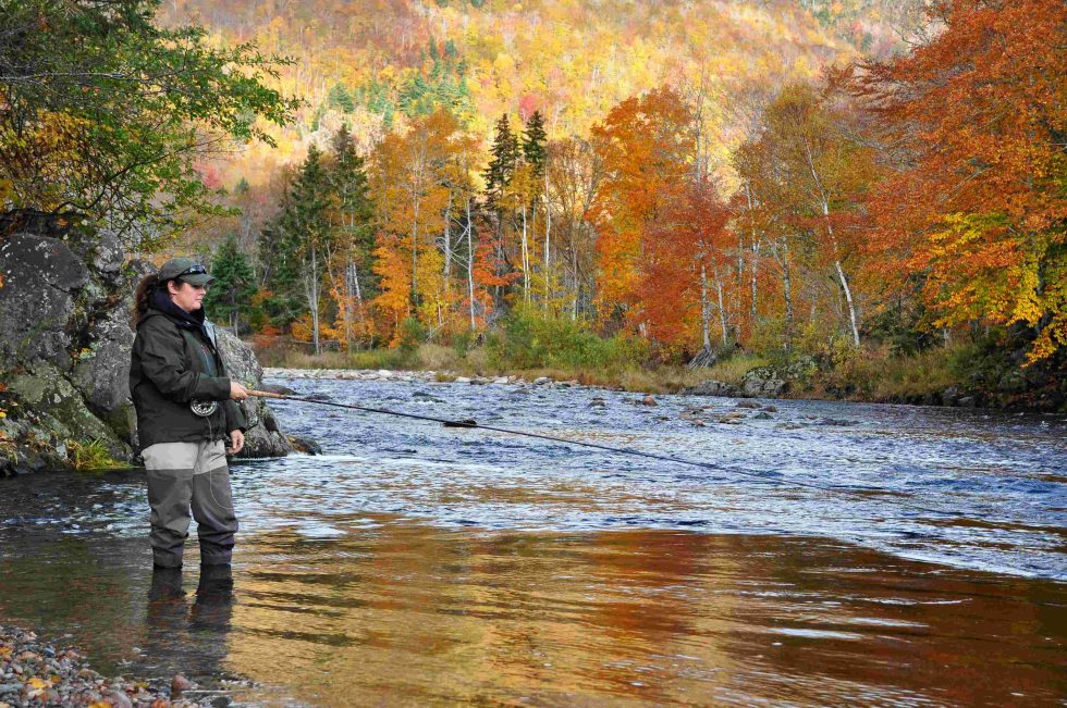 A woman in waders is fly fishing for mental health on a river in the fall with colorful foliage in t…