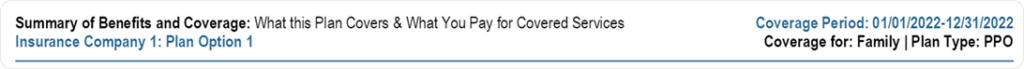 Text: Health plan Summary of Benefits and Coverage header displaying Insurance Company 1 Plan Option 1 for family PPO coverage covering the period of 01/01/2022 to 12/31/2022.